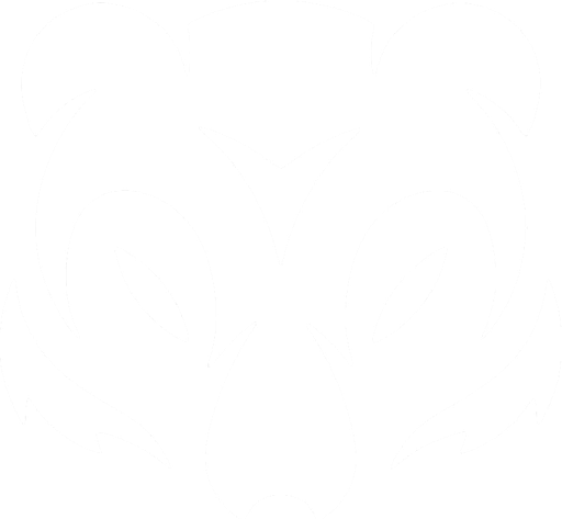 Skunkworks